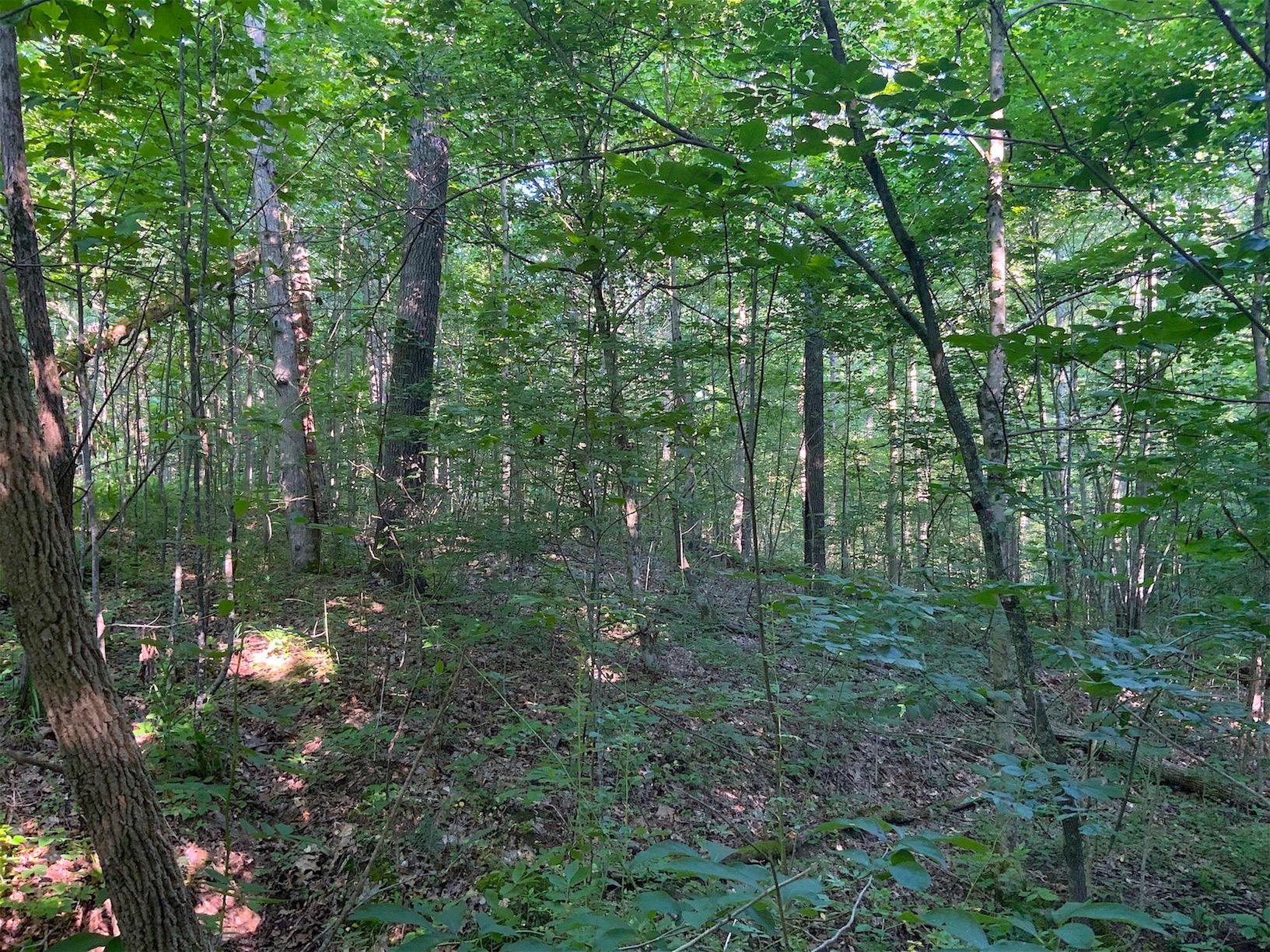 0 Two Mile Run Road Cutler, OH 45724 - Photo 44 of 44 Gallery Image 44