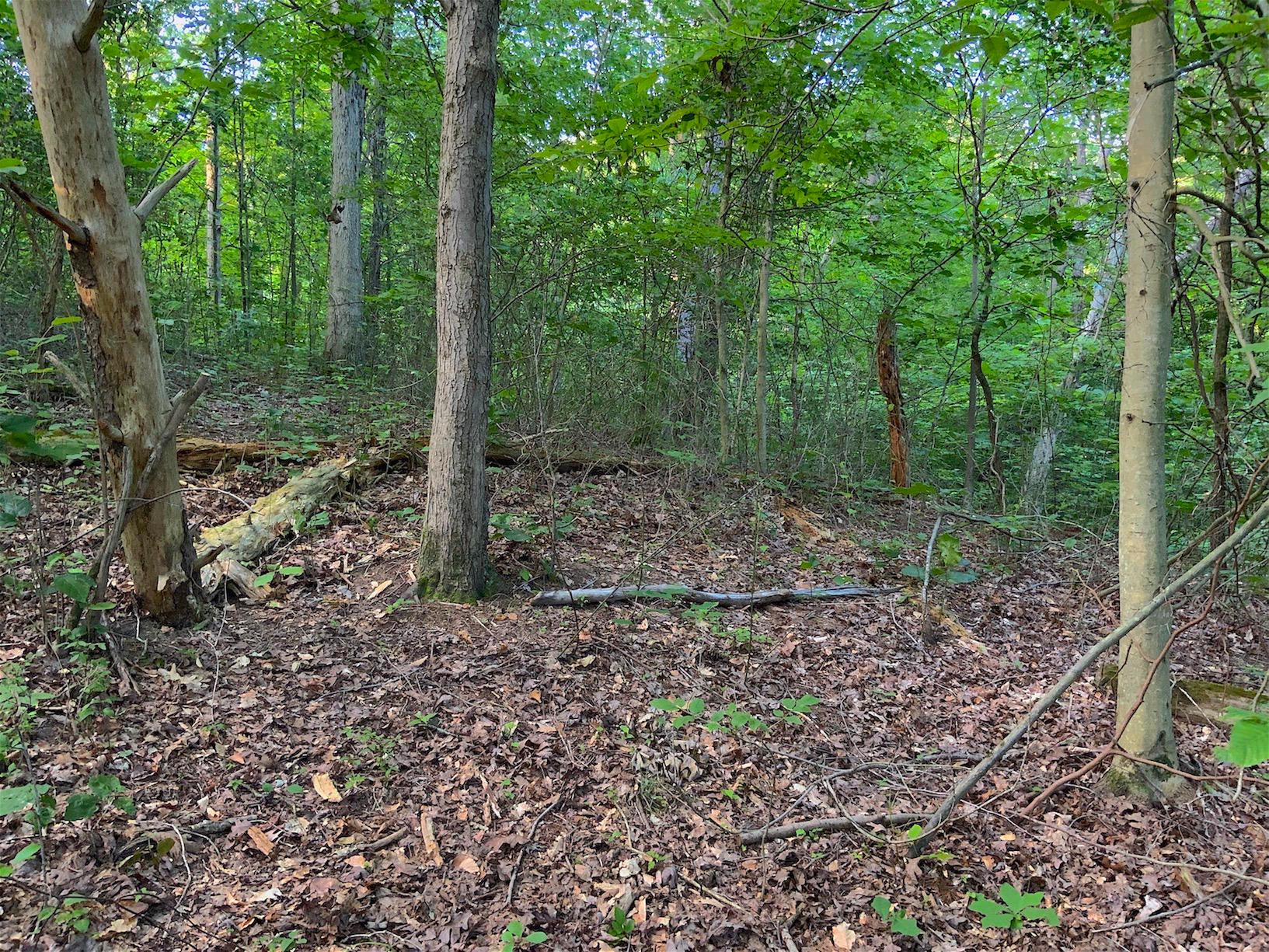 0 Two Mile Run Road Cutler, OH 45724 - Photo 7 of 44 Gallery Image 7