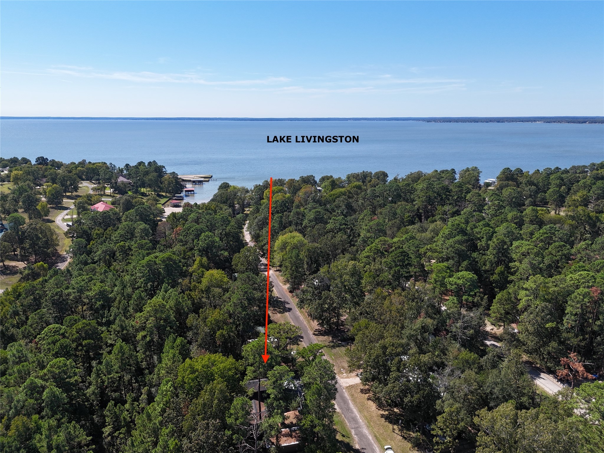 458 Rain Forest Road Onalaska, TX 77360 - Photo 1 of 25