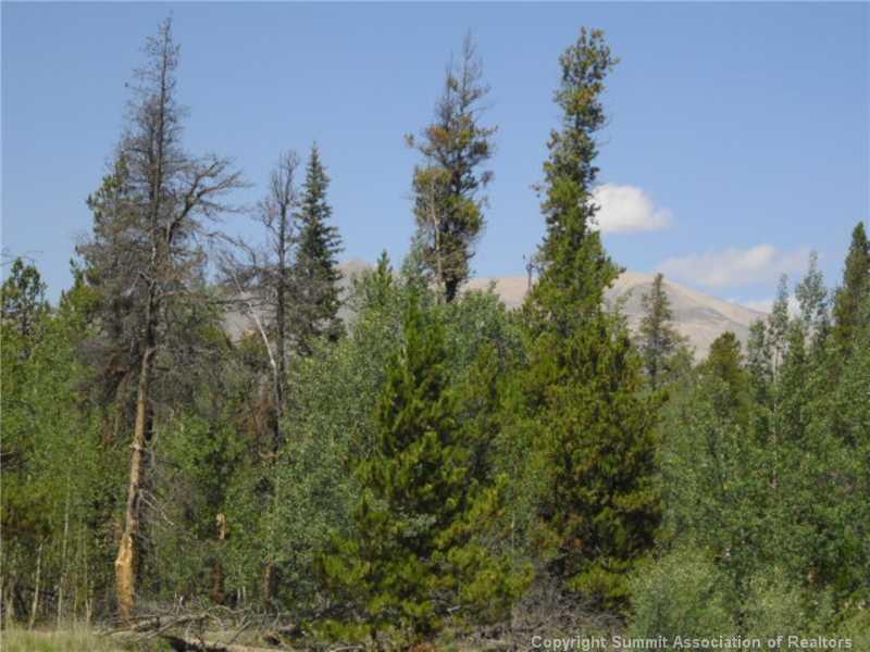 532 Glacier Ridge Road Alma, CO 80420 - Photo 4 of 8 Gallery Image 4