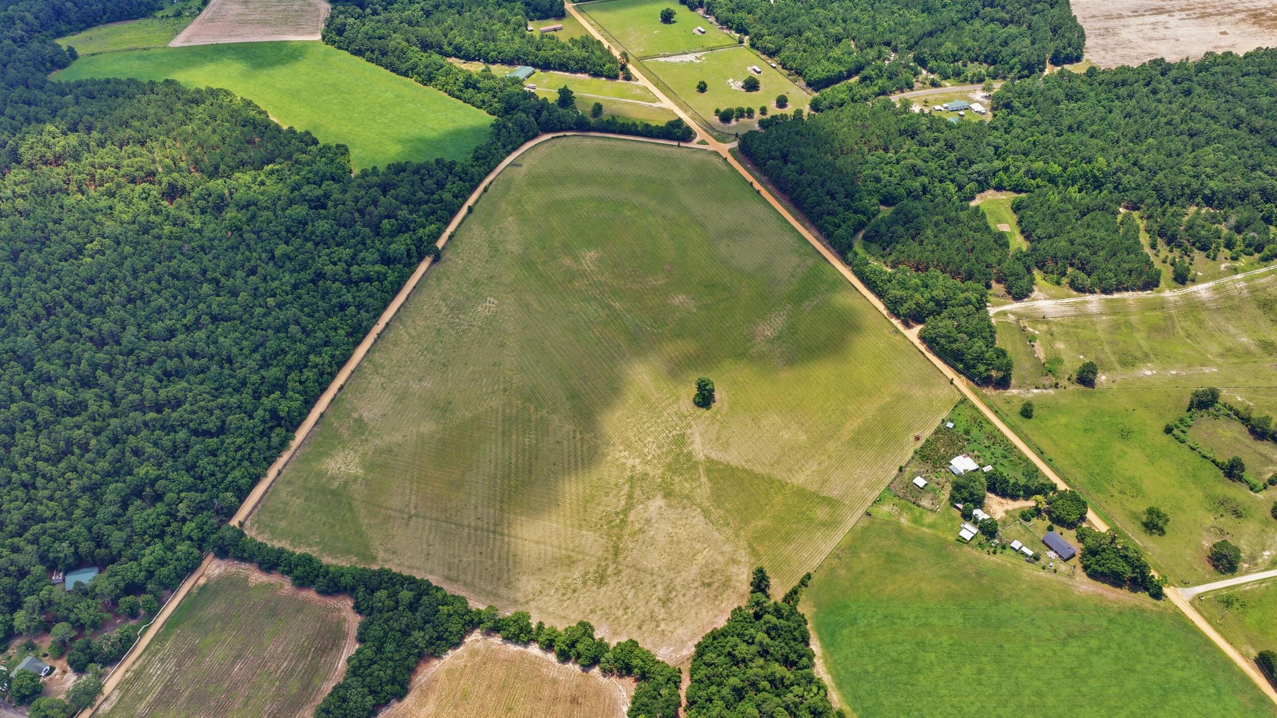 0 Bodie Road Wagener, SC 29164 - Photo 16 of 21