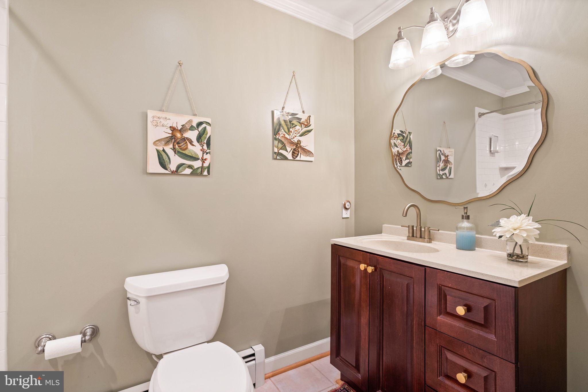 3768 Cobbler Mountain Road Delaplane, VA 20144 - Photo 20 of 47 Full bath off hallway