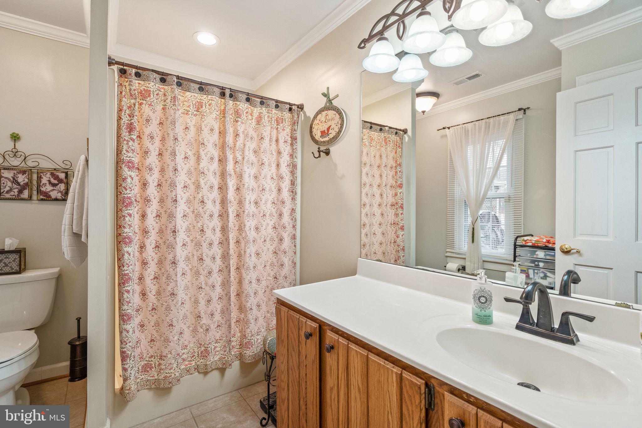 3768 Cobbler Mountain Road Delaplane, VA 20144 - Photo 25 of 47 Master bath