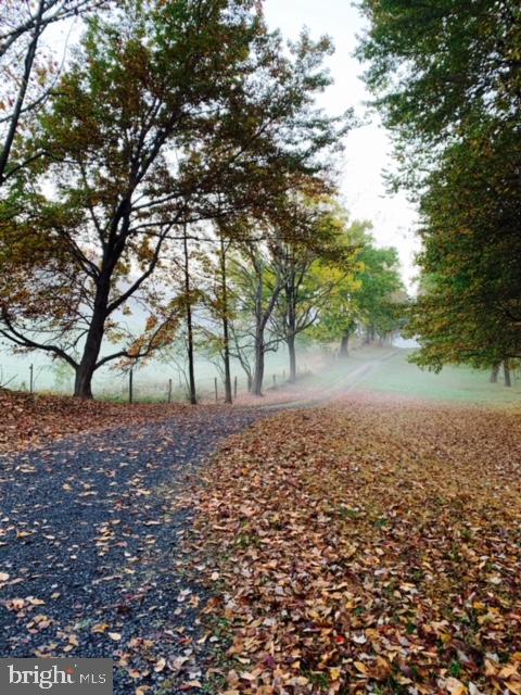 3768 Cobbler Mountain Road Delaplane, VA 20144 - Photo 30 of 47 Driveway - so serene