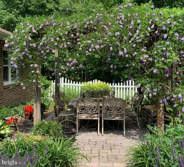 3768 Cobbler Mountain Road Delaplane, VA 20144 - Photo 33 of 47 Incredible pergola covered with Wisteria for shade