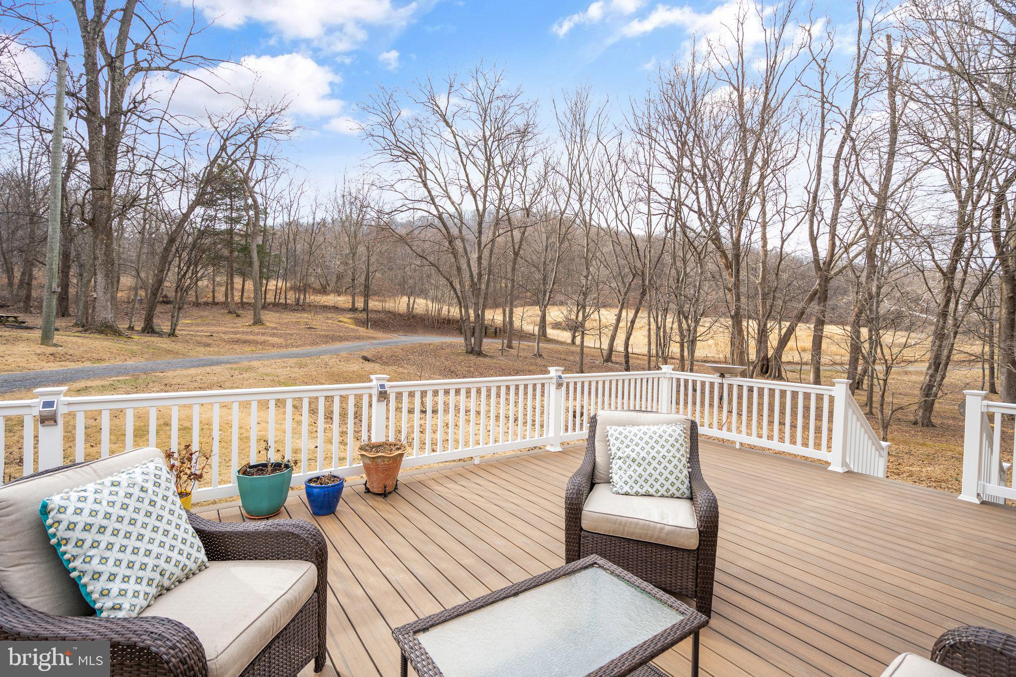 3768 Cobbler Mountain Road Delaplane, VA 20144 - Photo 39 of 47