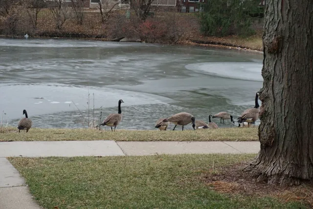 a view of a wooden floor