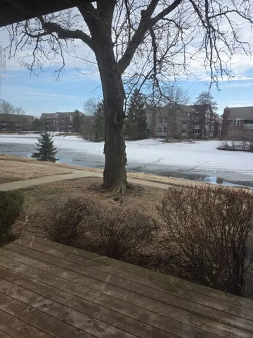 $2,000 | 913 Casey Court, Unit 1, Schaumburg, IL 60173