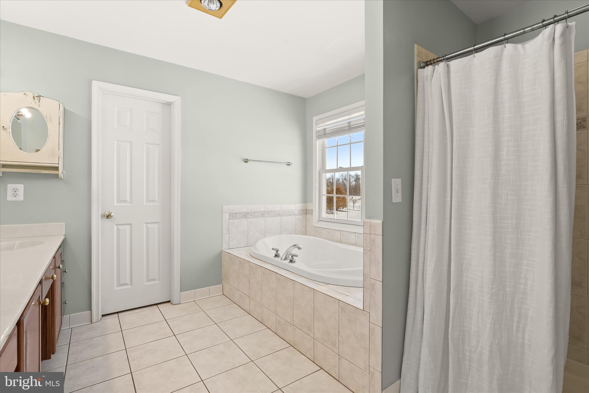 685 West Watersville Road Mount Airy, MD 21771 - Photo 37 of 75 Luxury primary bathroom