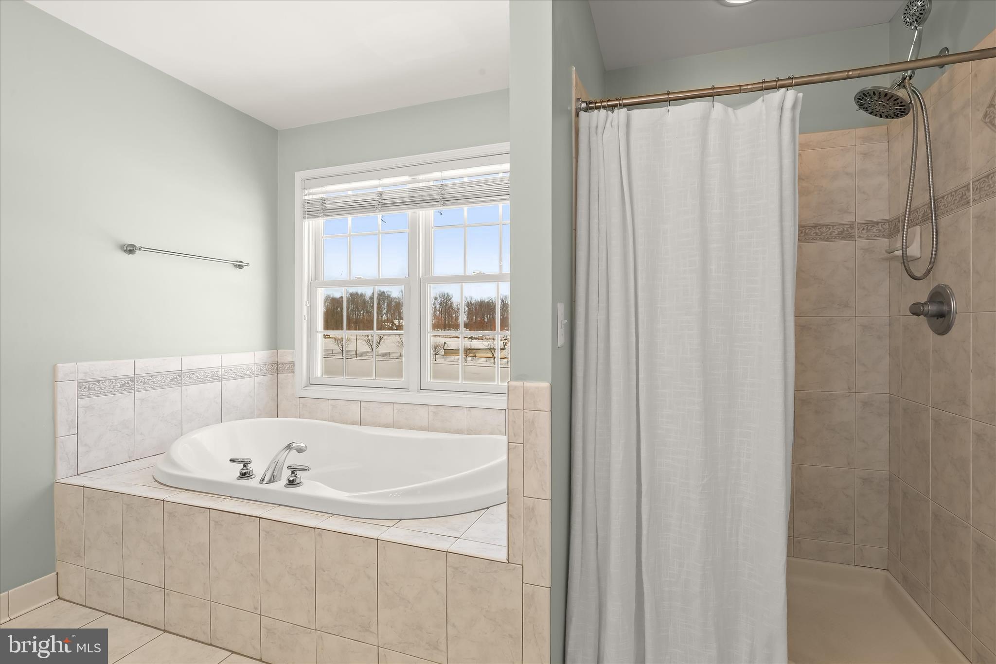 685 West Watersville Road Mount Airy, MD 21771 - Photo 40 of 75 Soaking tub & seperate shower