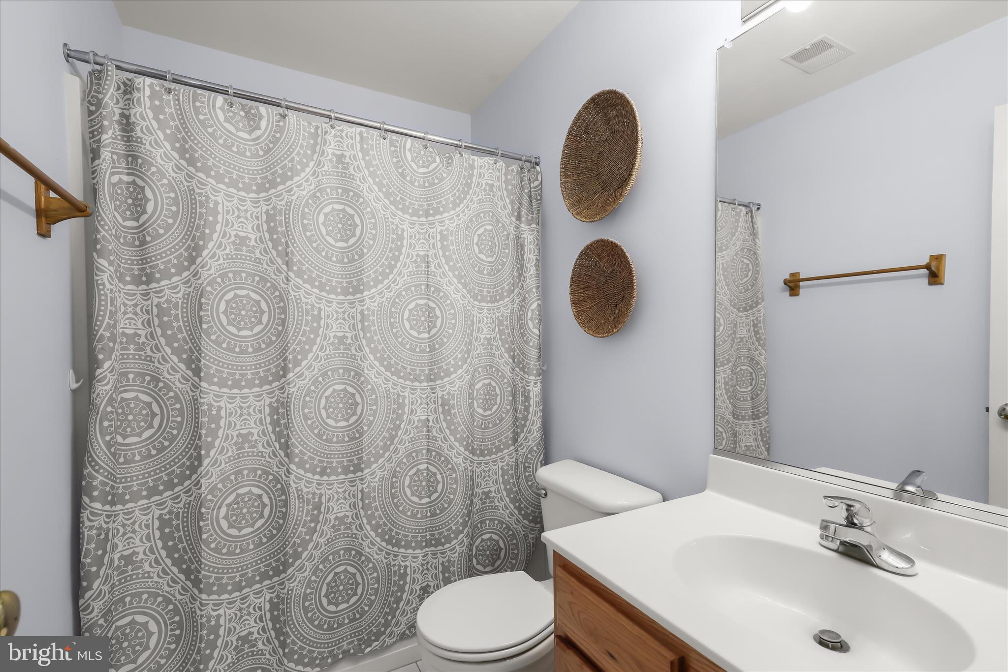 685 West Watersville Road Mount Airy, MD 21771 - Photo 52 of 75 Lower level full bathroom