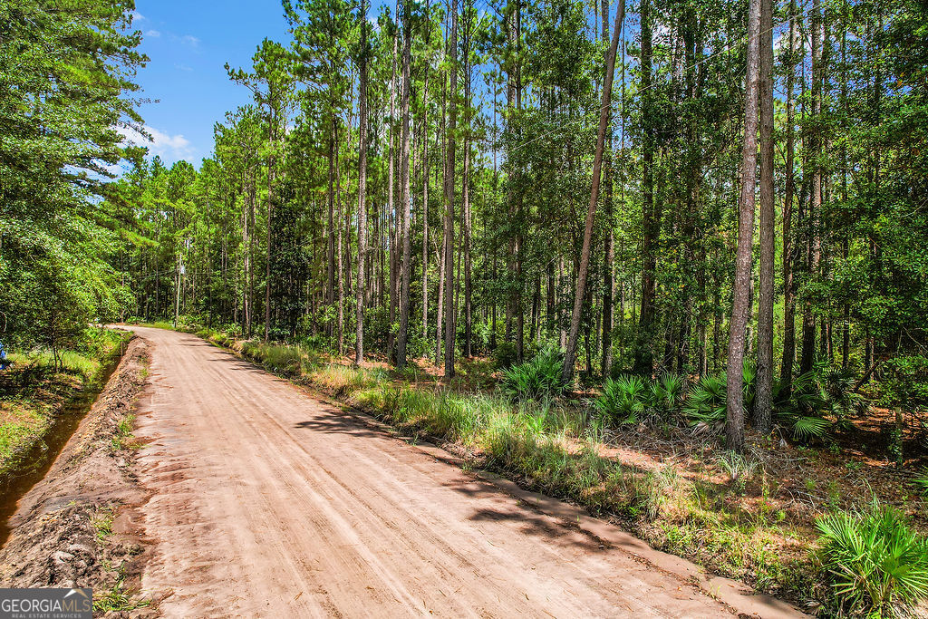 18 Caldwell Road Ludowici, GA 31316 - Photo 4 of 7 a view of an outdoor space