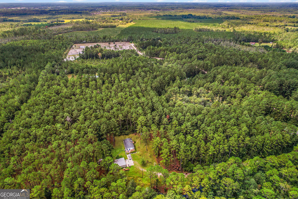 18 Caldwell Road Ludowici, GA 31316 - Photo 5 of 7 a view of outdoor space and yard with green space