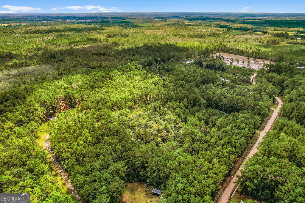 18 Caldwell Road Ludowici, GA 31316 - Photo 6 of 7 a view of a field with an ocean view