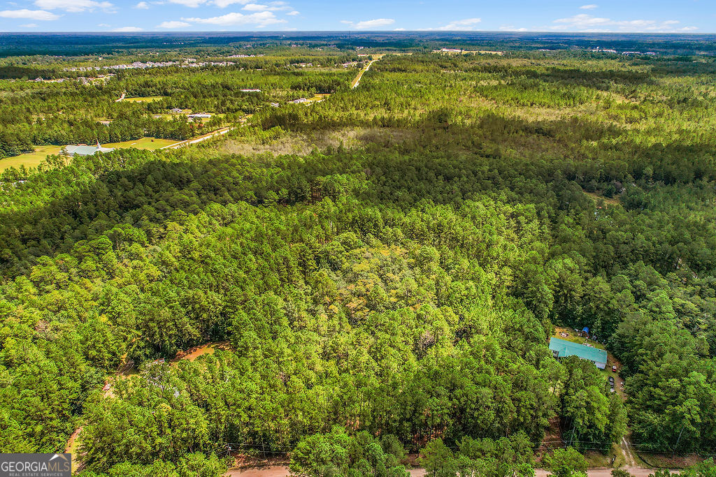 18 Caldwell Road Ludowici, GA 31316 - Photo 7 of 7 a view of a yard with an ocean
