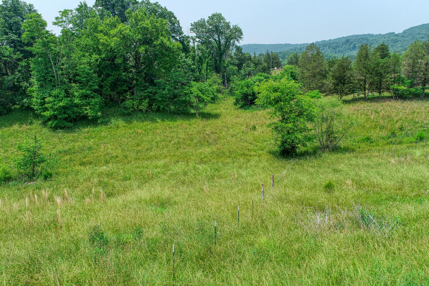 307 Manis Road Rogersville, TN 37857 - Photo 62 of 104 Juhl. 307 Manis Rd. Rog MLSa (21 of 39)