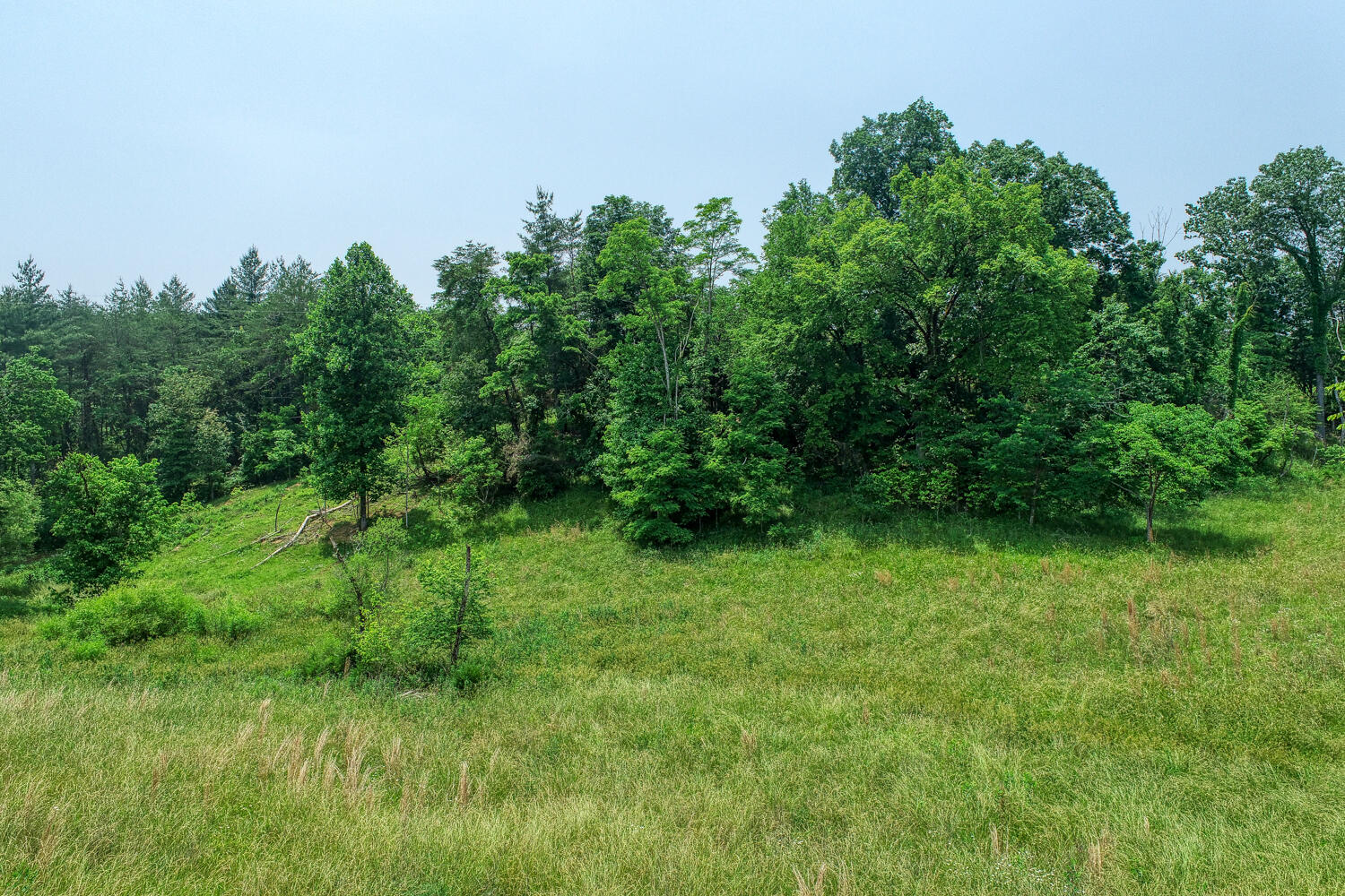 307 Manis Road Rogersville, TN 37857 - Photo 68 of 104 Juhl. 307 Manis Rd. Rog MLSa (27 of 39)