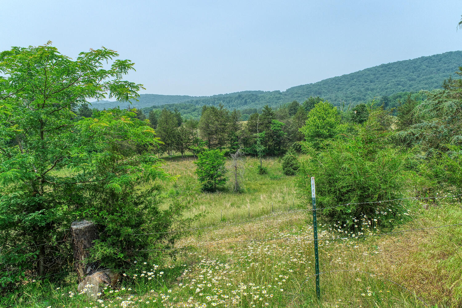 307 Manis Road Rogersville, TN 37857 - Photo 69 of 104 Juhl. 307 Manis Rd. Rog MLSa (28 of 39)