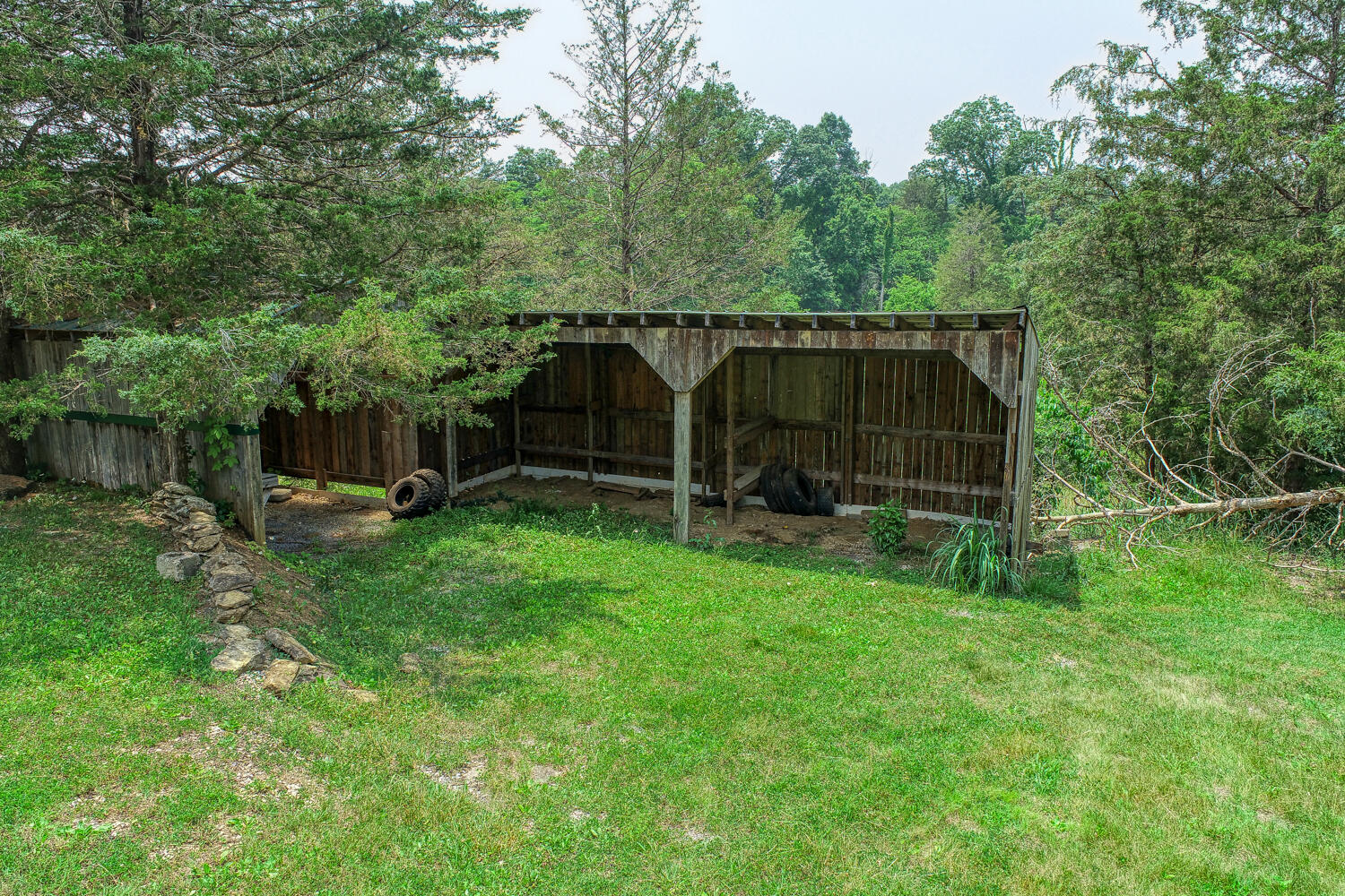 307 Manis Road Rogersville, TN 37857 - Photo 79 of 104 Juhl. 307 Manis Rd. Rog MLSa (38 of 39)