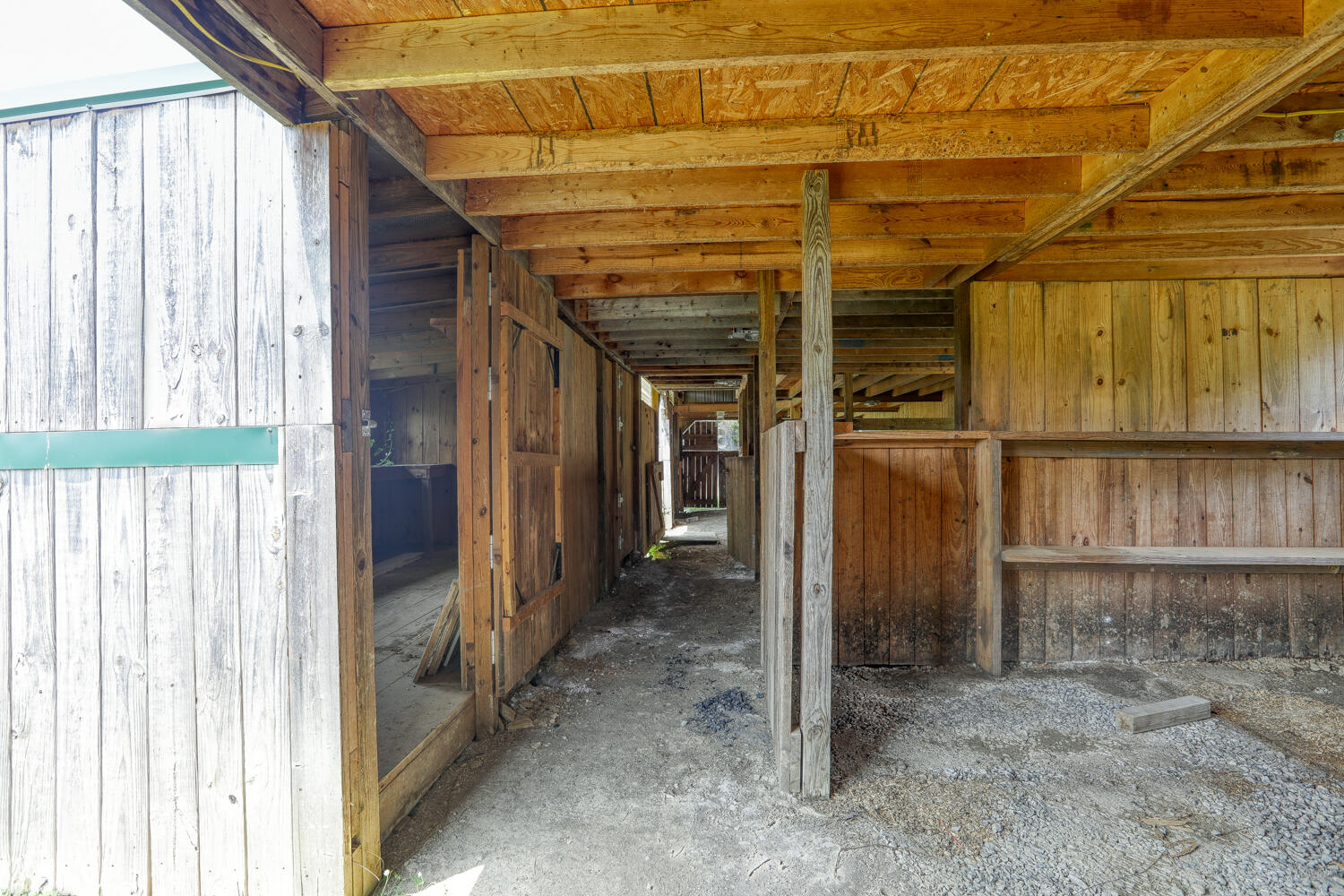 307 Manis Road Rogersville, TN 37857 - Photo 90 of 104 Juhl. 307 Manis Rd. Rog MLSb (51 of 65)
