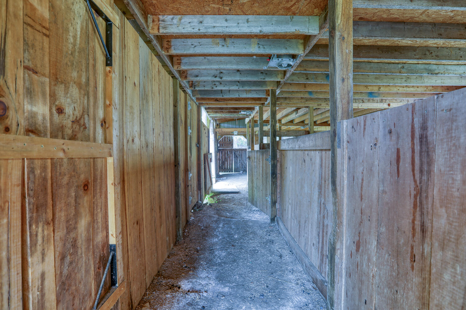 307 Manis Road Rogersville, TN 37857 - Photo 93 of 104 Juhl. 307 Manis Rd. Rog MLSb (54 of 65)