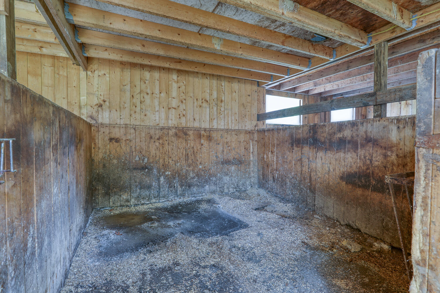 307 Manis Road Rogersville, TN 37857 - Photo 95 of 104 Juhl. 307 Manis Rd. Rog MLSb (56 of 65)
