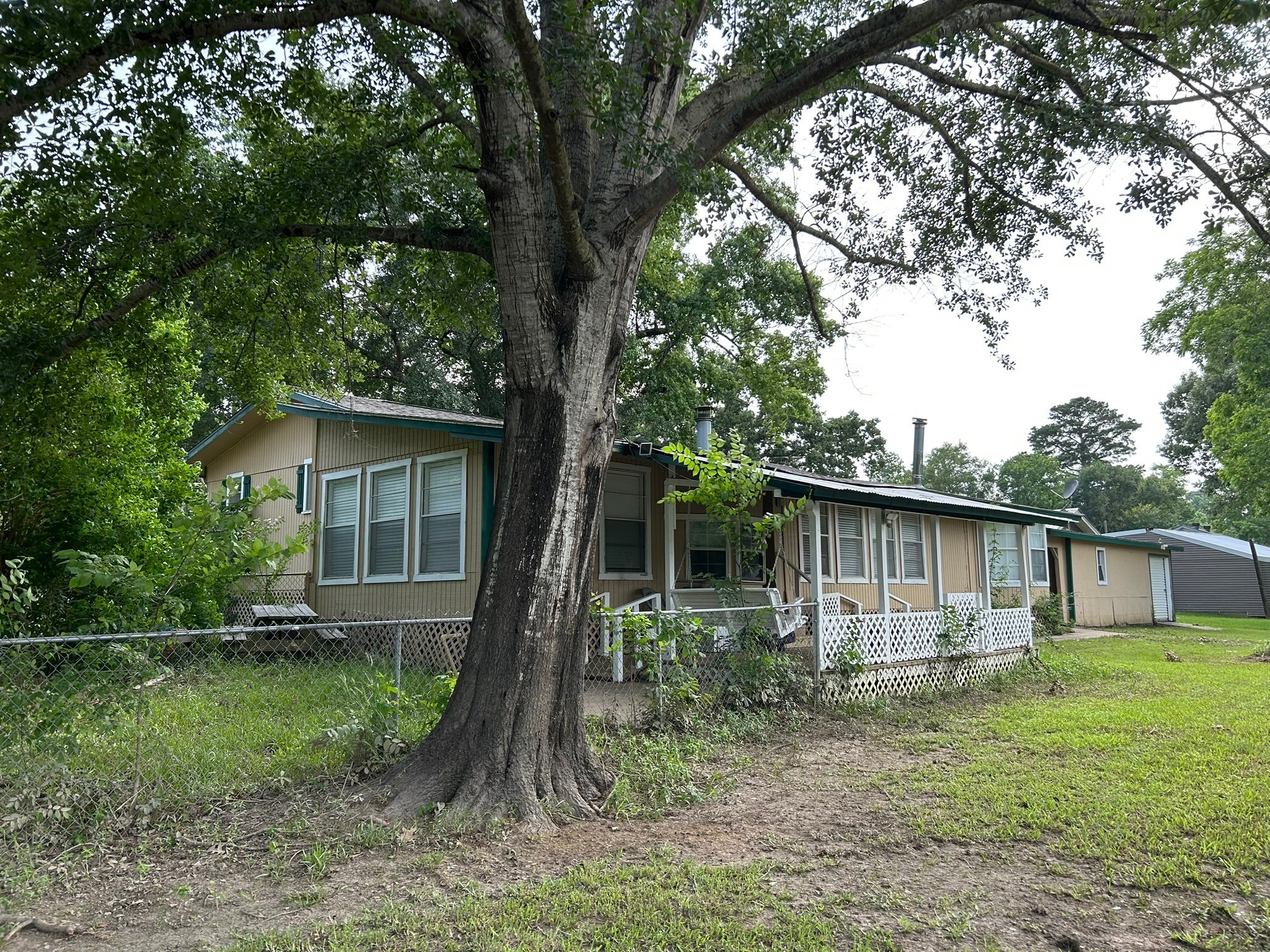 320 Deer Run Road Trinity, TX 75862 - Photo 35 of 50 Mature Shade Trees