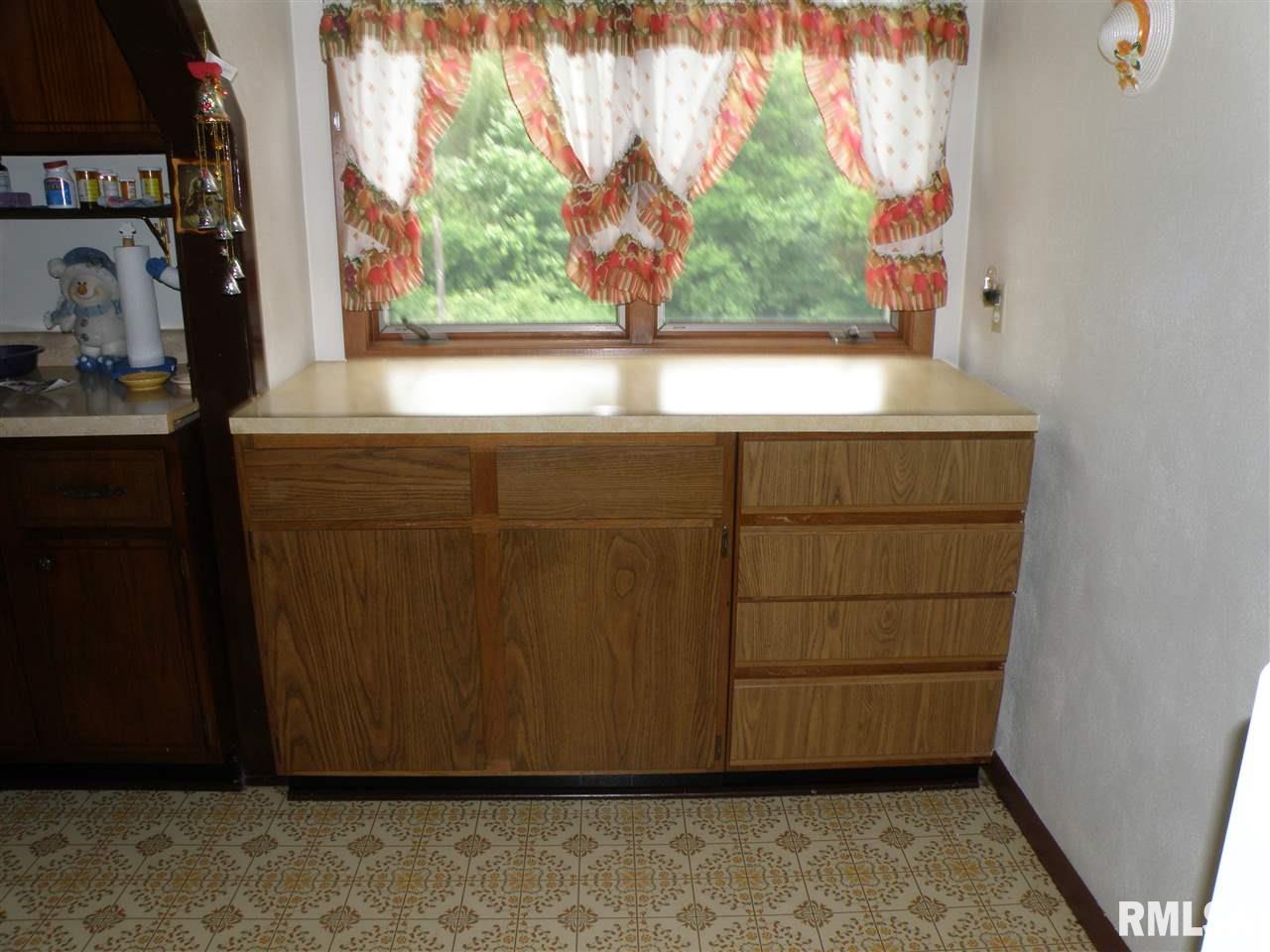 11708 Turkey Hollow Road Taylor Ridge, IL 61284 - Photo 9 of 14 Gallery Image 9