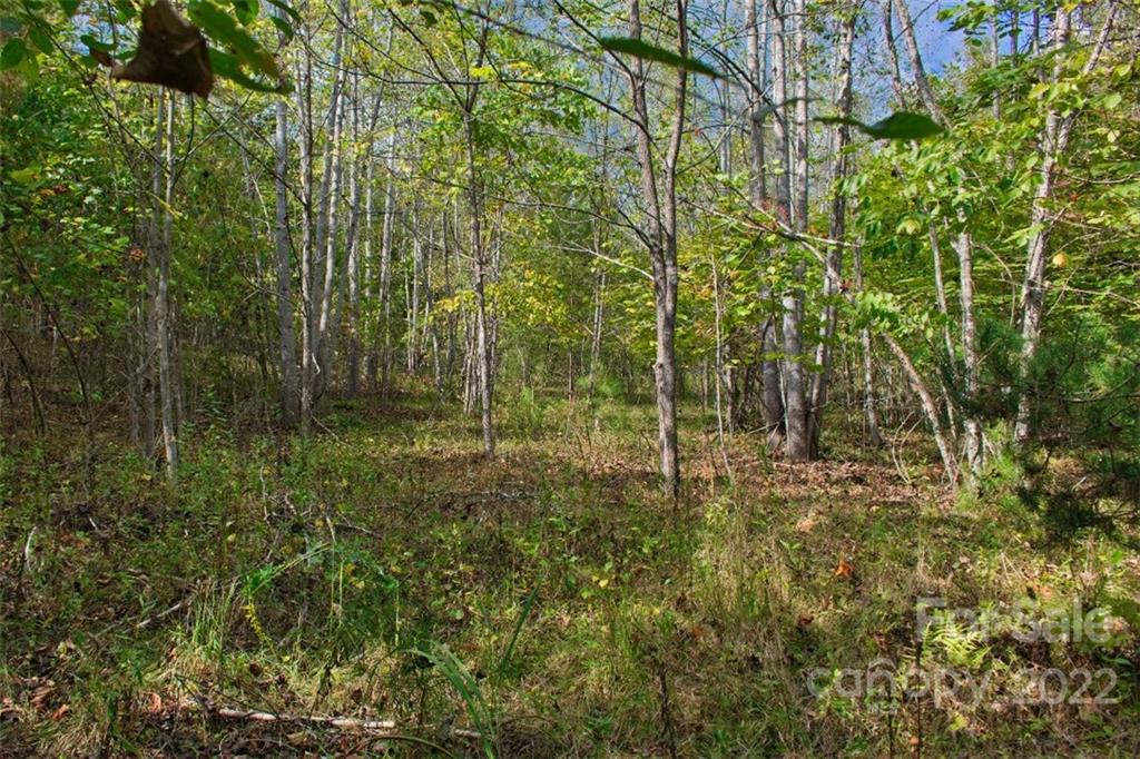 a view of outdoor space and green space