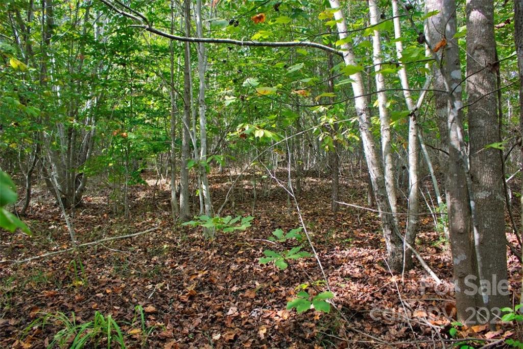 0 Chimney Creek Lane, Unit 194 Rutherfordton, NC 28139 - Photo 2 of 4 a view of a yard