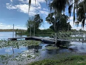 a view of a backyard with large trees