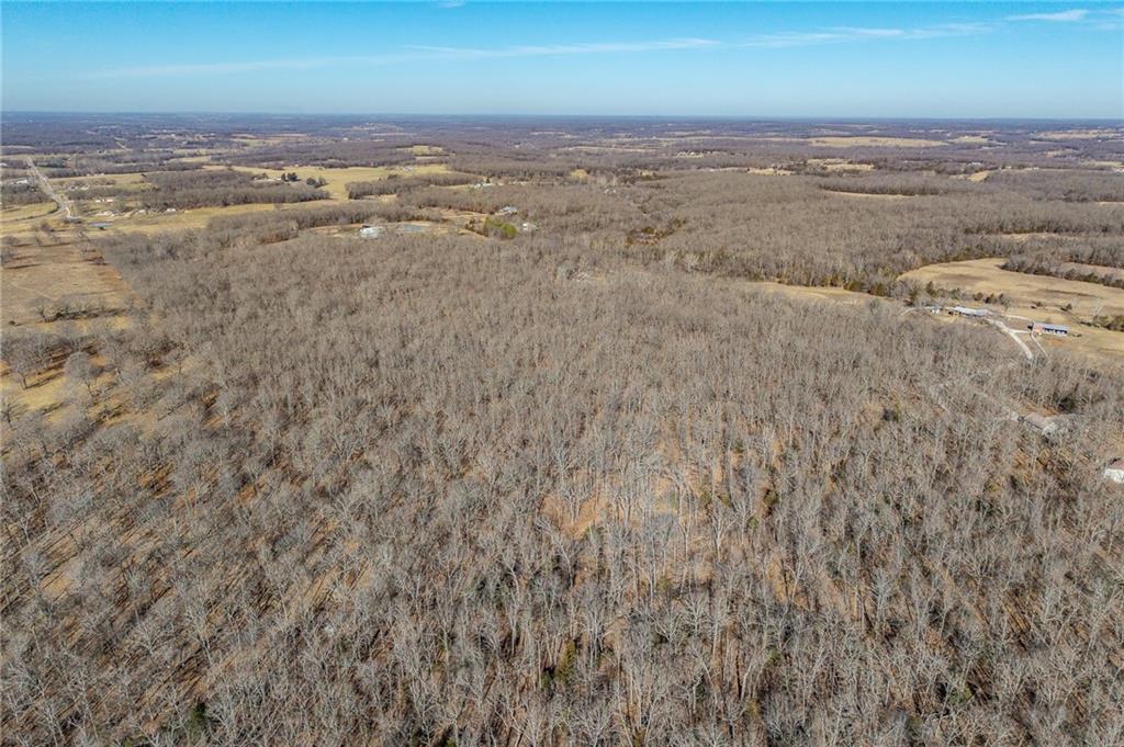 1 Lindley Road Buffalo, MO 65622 - Photo 54 of 62