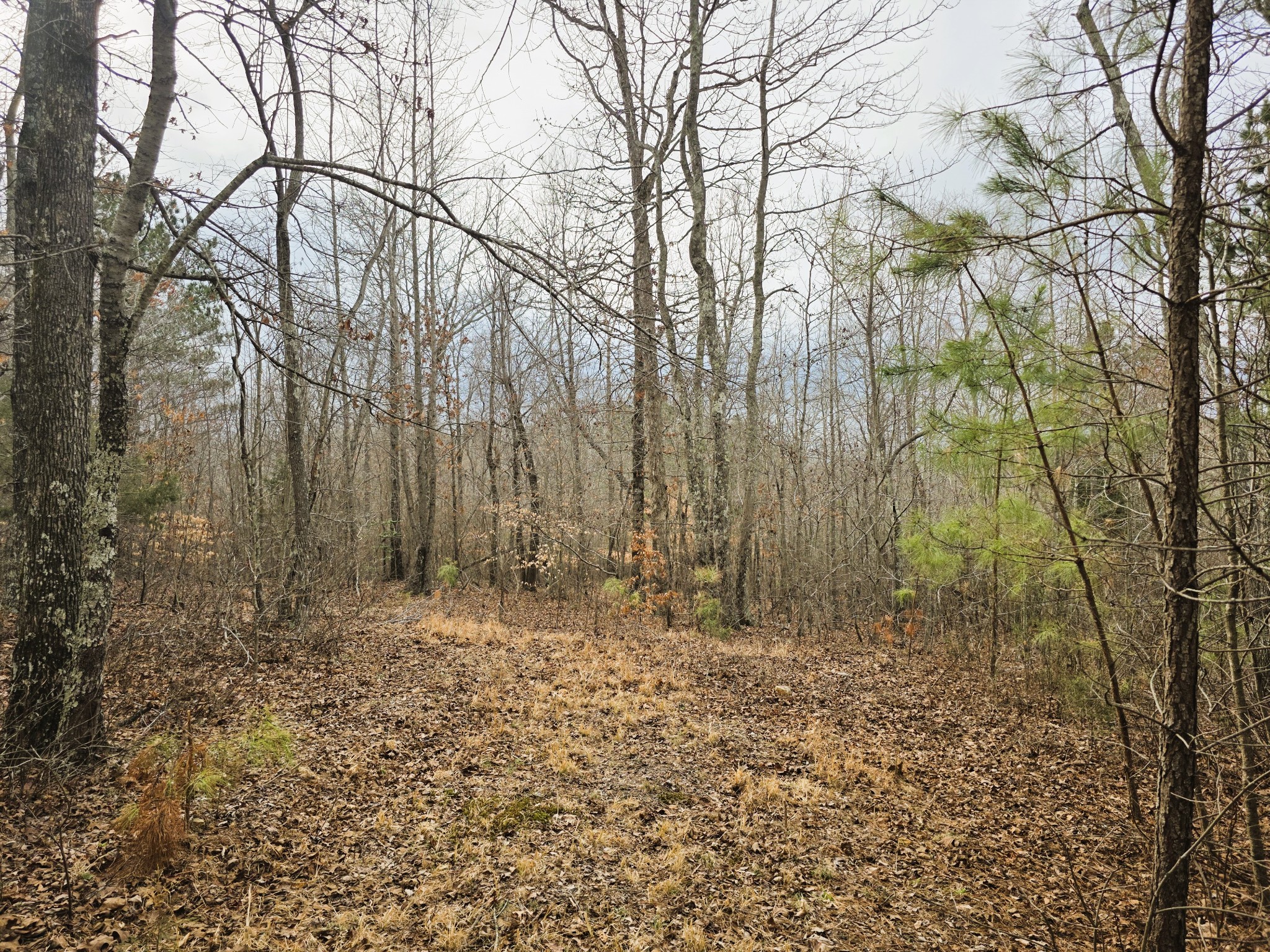0 Birdsong Road Holladay, TN 38341 - Photo 59 of 70