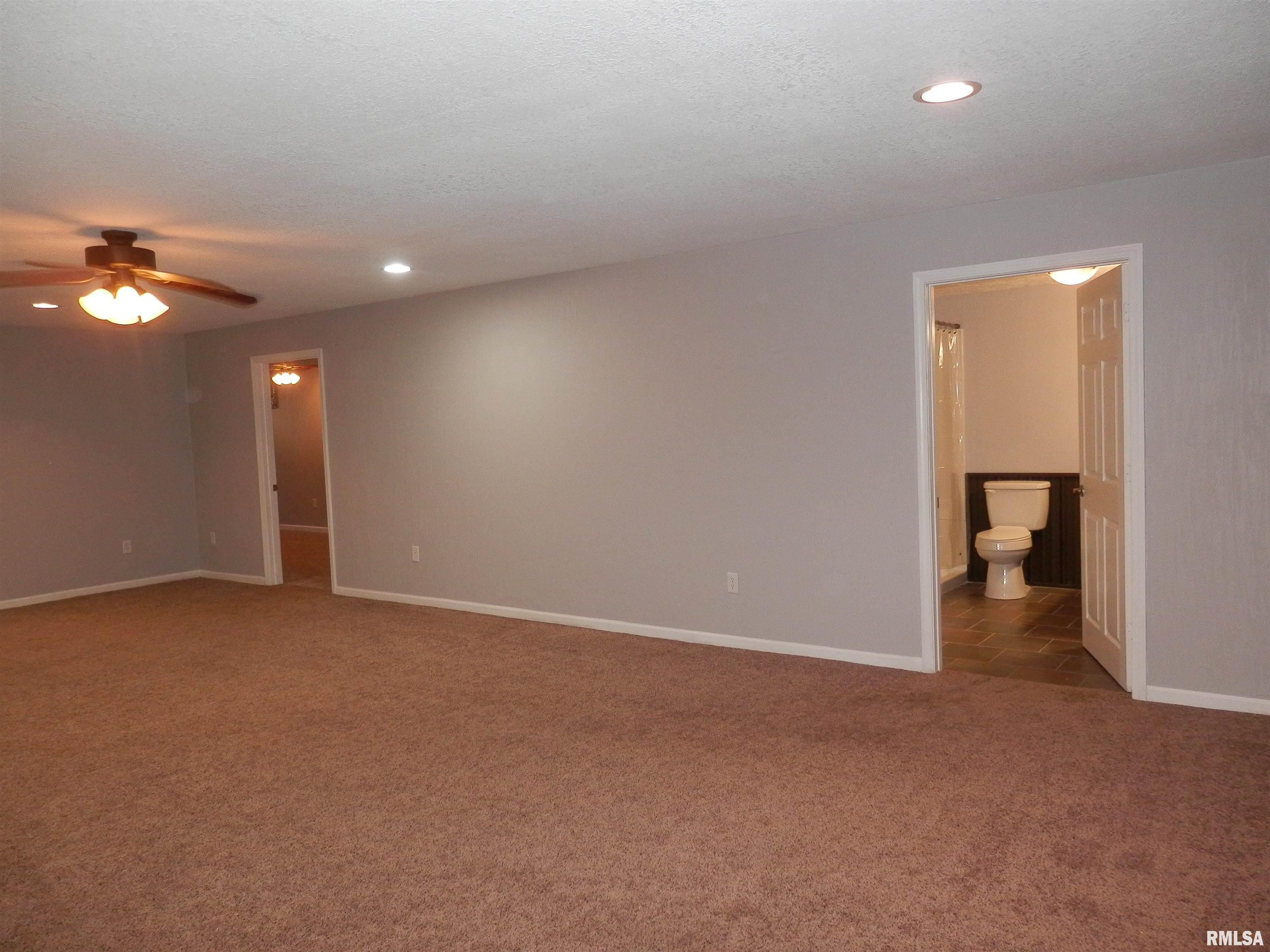 505 Beech Street Andover, IL 61238 - Photo 47 of 67