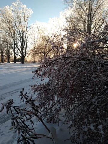 $539,500 | 389 Higgins Road, Pittsfield, ME 04967