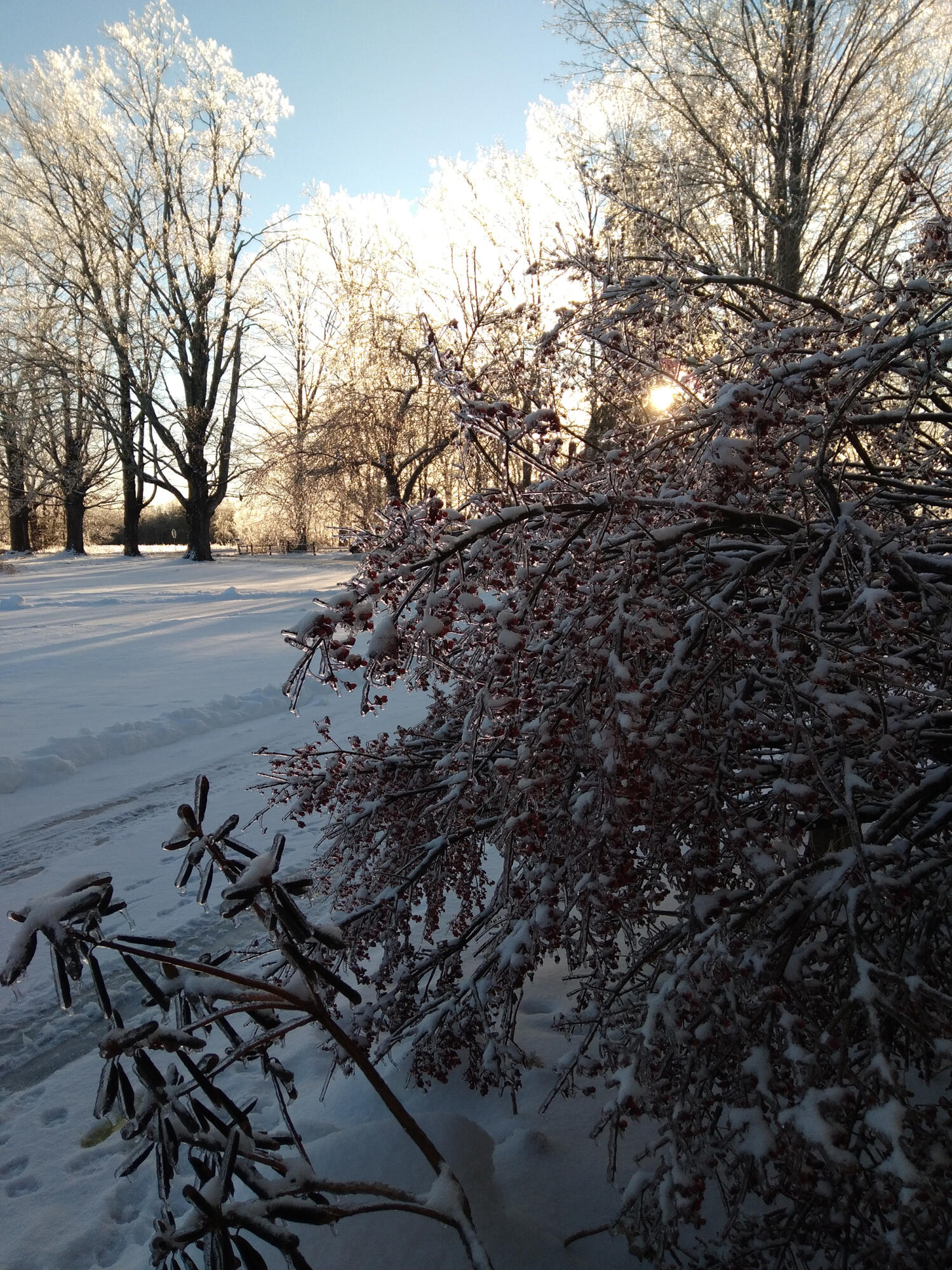 389 Higgins Road Pittsfield, ME 04967 - Photo 58 of 80 20211223_081655