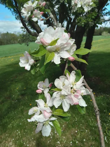 $539,500 | 389 Higgins Road, Pittsfield, ME 04967