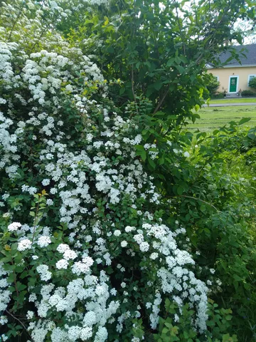 $539,500 | 389 Higgins Road, Pittsfield, ME 04967