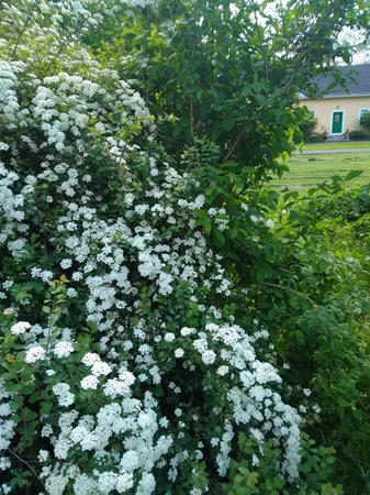 $520,500 | 389 Higgins Road, Pittsfield, ME 04967