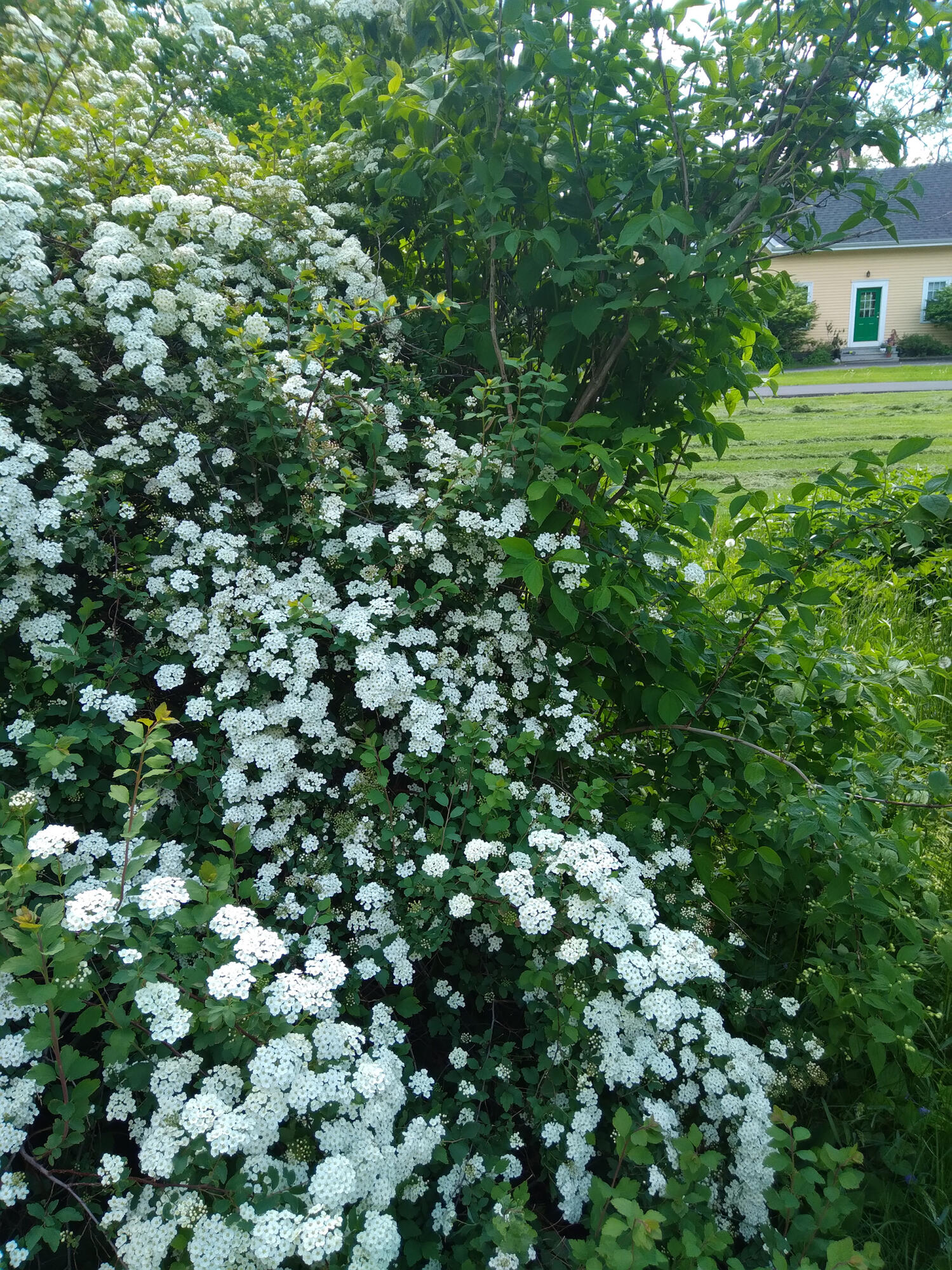 389 Higgins Road Pittsfield, ME 04967 - Photo 66 of 80 20220529_144844