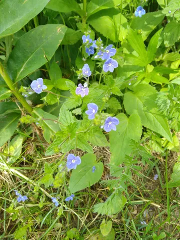 $539,500 | 389 Higgins Road, Pittsfield, ME 04967