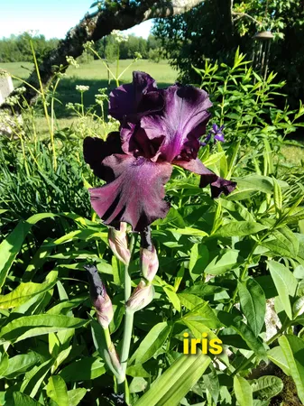 $520,500 | 389 Higgins Road, Pittsfield, ME 04967