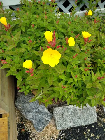 $539,500 | 389 Higgins Road, Pittsfield, ME 04967