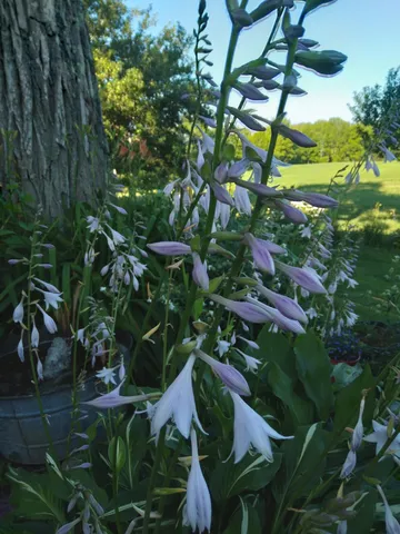 $539,500 | 389 Higgins Road, Pittsfield, ME 04967