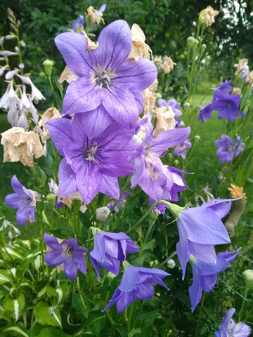 $539,500 | 389 Higgins Road, Pittsfield, ME 04967