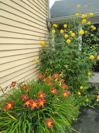 $520,500 | 389 Higgins Road, Pittsfield, ME 04967