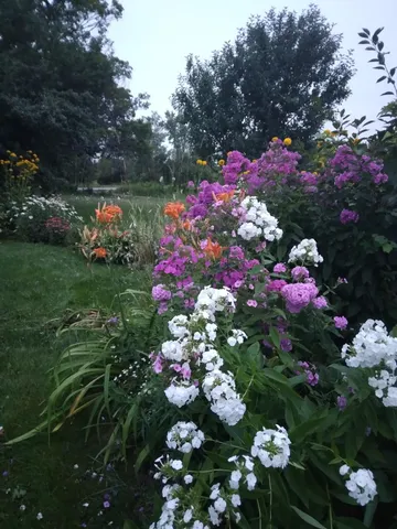 $539,500 | 389 Higgins Road, Pittsfield, ME 04967