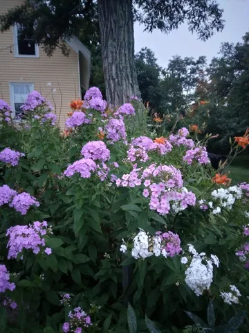 $539,500 | 389 Higgins Road, Pittsfield, ME 04967