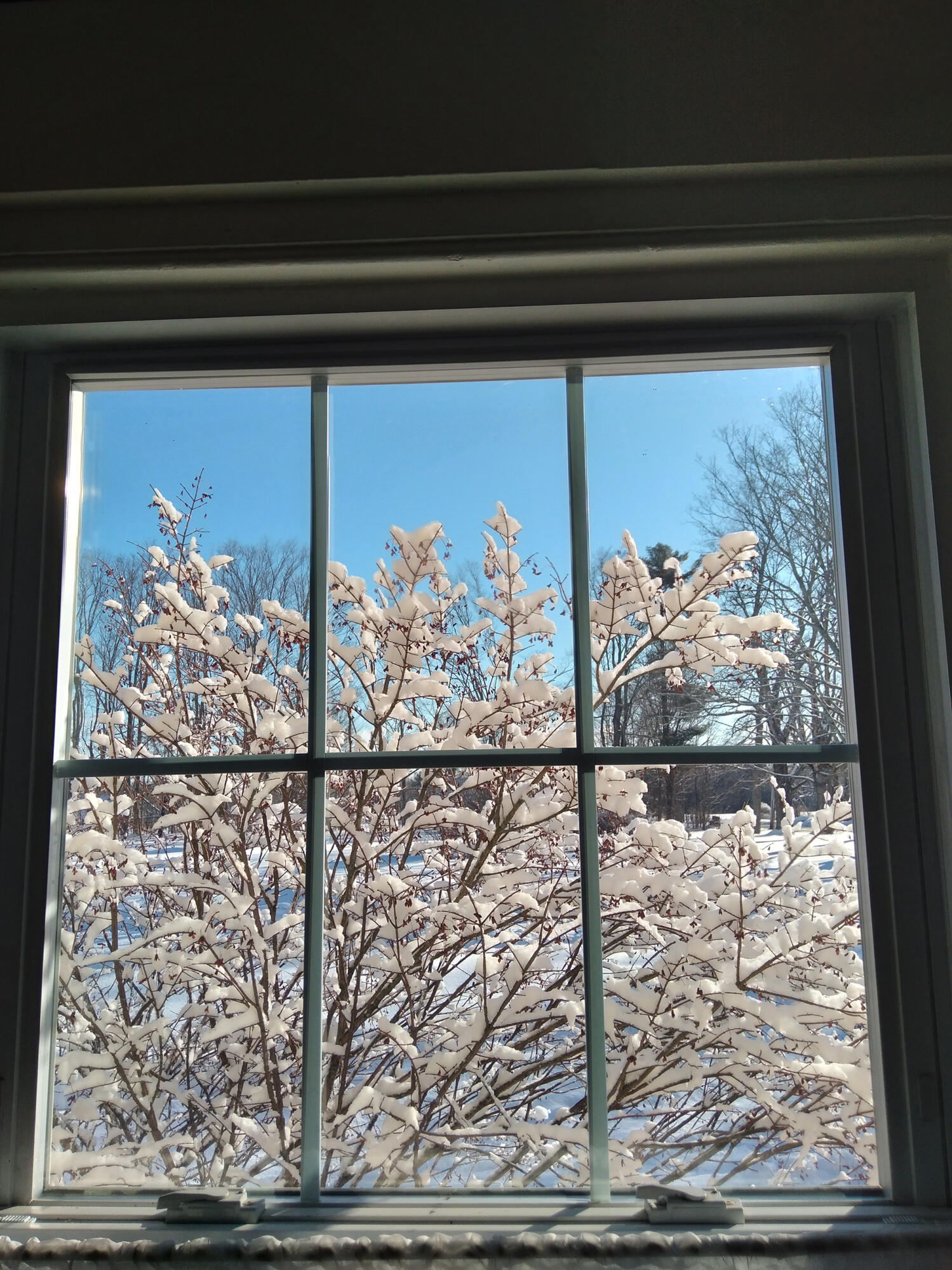 389 Higgins Road Pittsfield, ME 04967 - Photo 77 of 80 20230303_075840