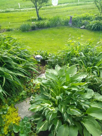 $539,500 | 389 Higgins Road, Pittsfield, ME 04967